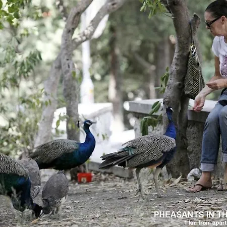 Stanic - Away From ! 公寓 *