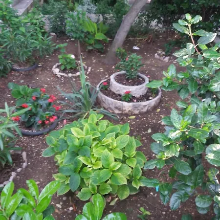 Stanic - Away From ! 公寓 *