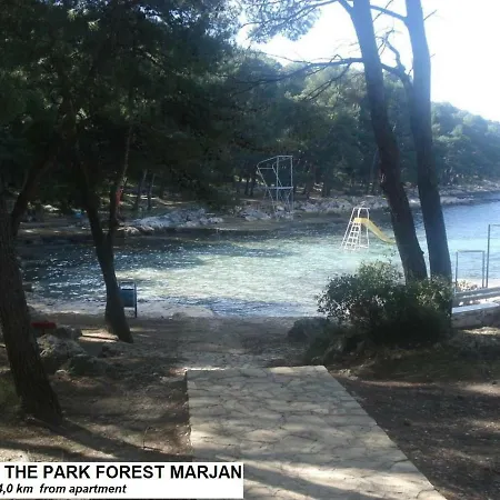 Stanic - Away From !